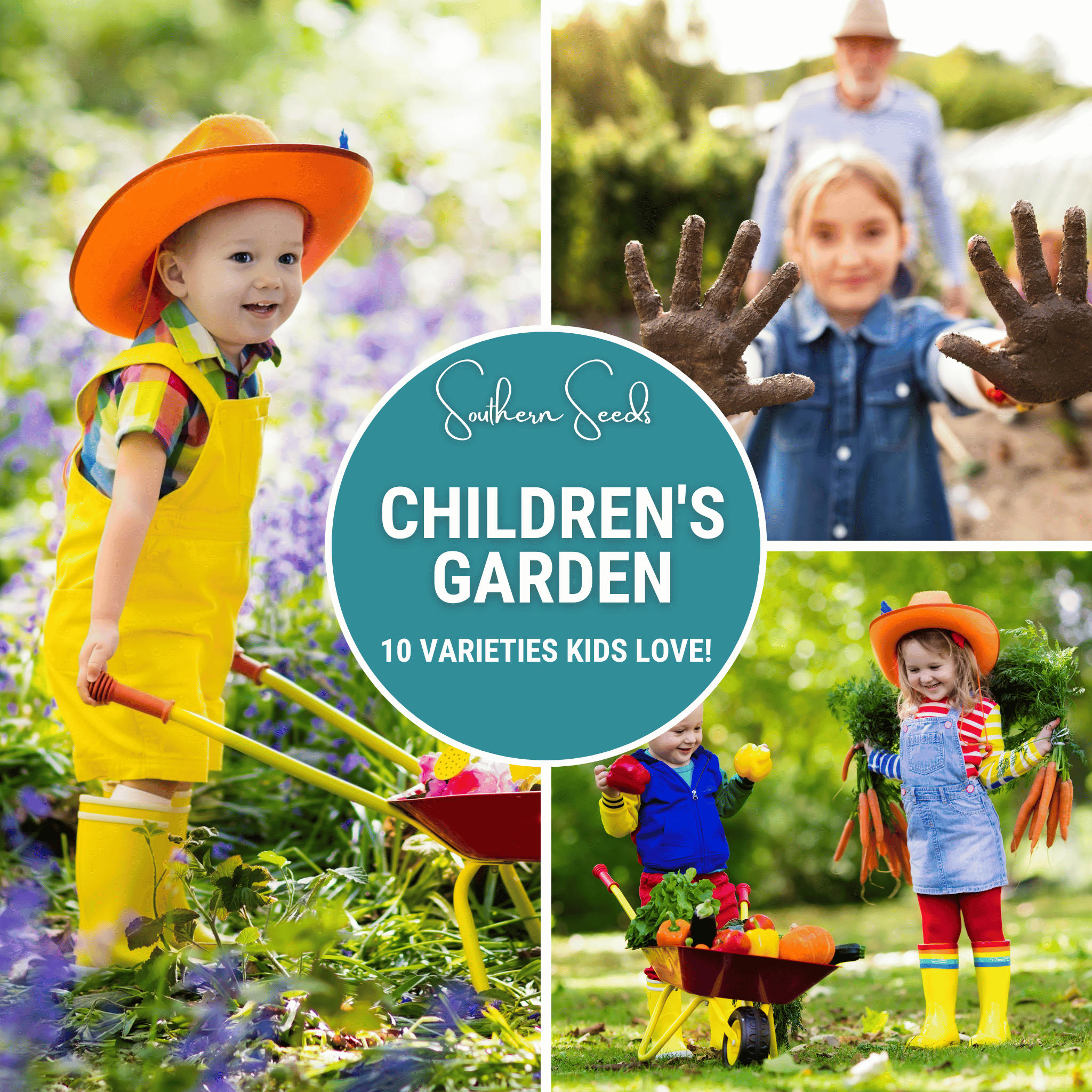 Kids Garden Seed Collection – 10 Varieties